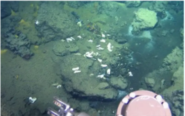 漲知識(shí)|水質(zhì)污染物的來(lái)源及危害 漲知識(shí)|水質(zhì)污染物的來(lái)源及危害