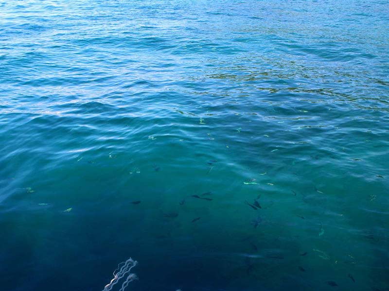 水質軟硬度和酸堿度有什么區(qū)別